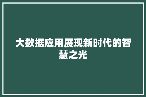 大数据应用展现新时代的智慧之光