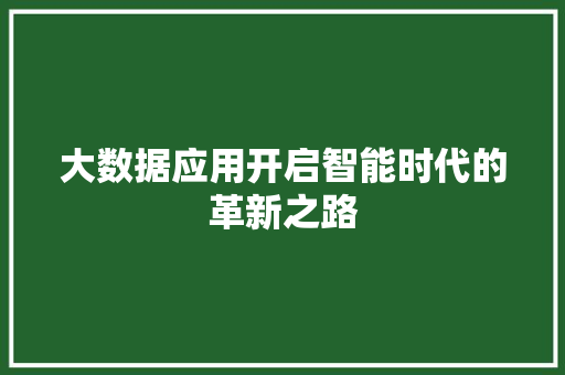 大数据应用开启智能时代的革新之路