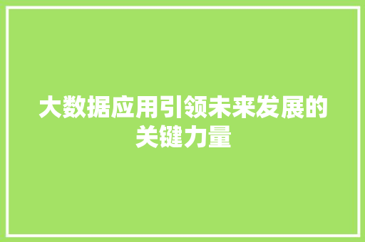 大数据应用引领未来发展的关键力量