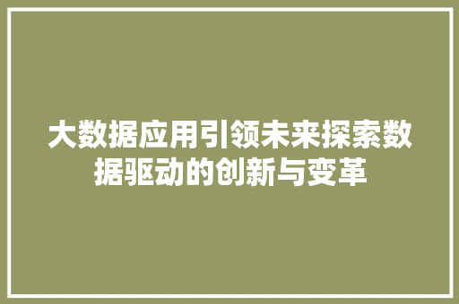 大数据应用引领未来探索数据驱动的创新与变革