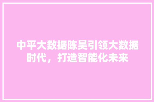 中平大数据陈昊引领大数据时代，打造智能化未来