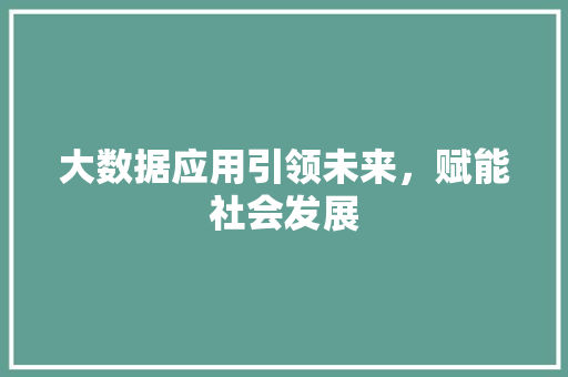 大数据应用引领未来，赋能社会发展
