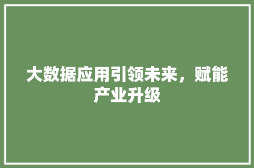 大数据应用引领未来，赋能产业升级