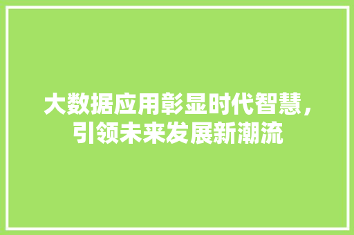 大数据应用彰显时代智慧，引领未来发展新潮流  第1张