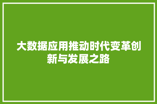 大数据应用推动时代变革创新与发展之路