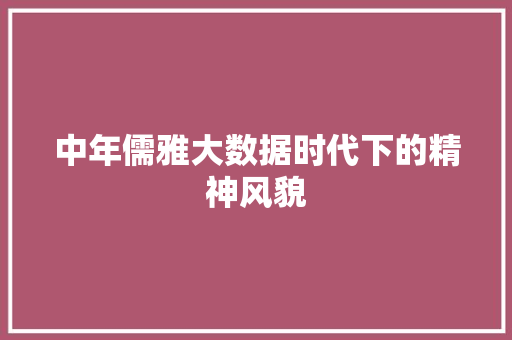 中年儒雅大数据时代下的精神风貌