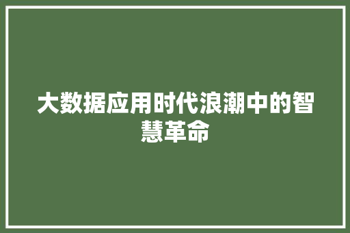 大数据应用时代浪潮中的智慧革命