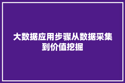 大数据应用步骤从数据采集到价值挖掘