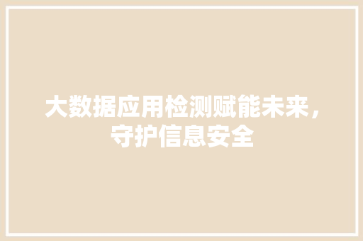 大数据应用检测赋能未来，守护信息安全