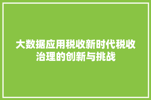 大数据应用税收新时代税收治理的创新与挑战