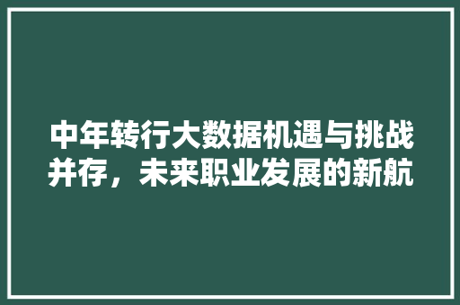 中年转行大数据机遇与挑战并存，未来职业发展的新航向