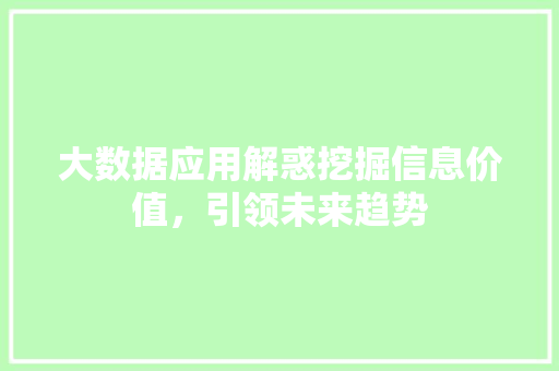 大数据应用解惑挖掘信息价值，引领未来趋势