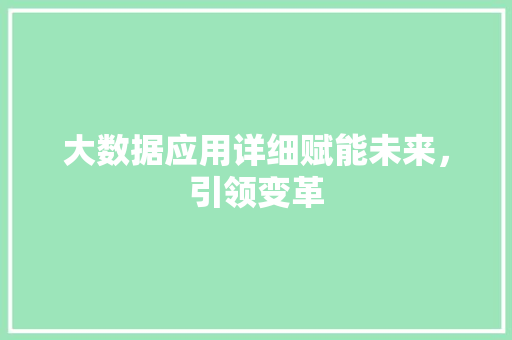 大数据应用详细赋能未来，引领变革