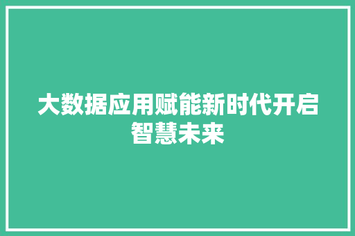 大数据应用赋能新时代开启智慧未来