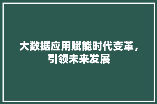 大数据应用赋能时代变革，引领未来发展