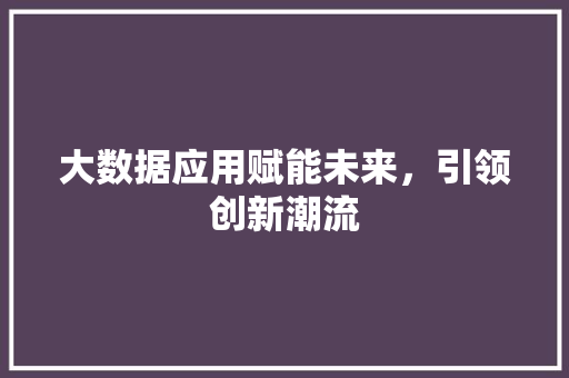 大数据应用赋能未来，引领创新潮流