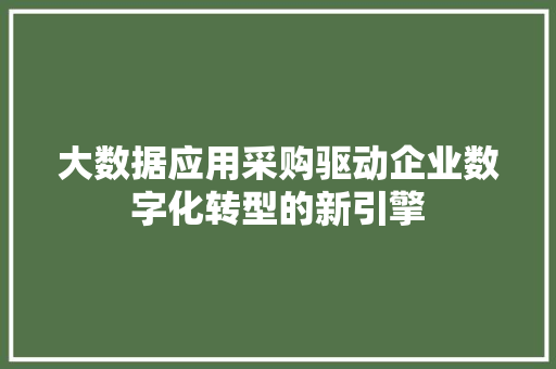 大数据应用采购驱动企业数字化转型的新引擎