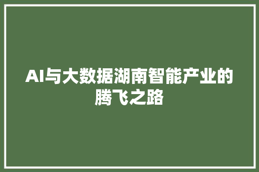 AI与大数据湖南智能产业的腾飞之路