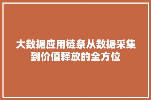 大数据应用链条从数据采集到价值释放的全方位