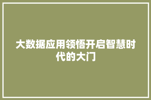 大数据应用领悟开启智慧时代的大门