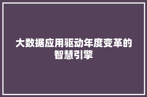 大数据应用驱动年度变革的智慧引擎