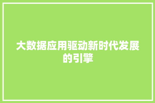 大数据应用驱动新时代发展的引擎