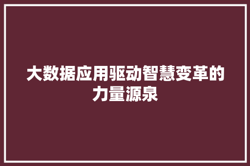 大数据应用驱动智慧变革的力量源泉