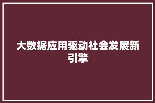 大数据应用驱动社会发展新引擎