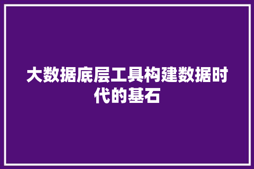 大数据底层工具构建数据时代的基石  第1张
