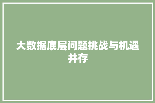 大数据底层问题挑战与机遇并存