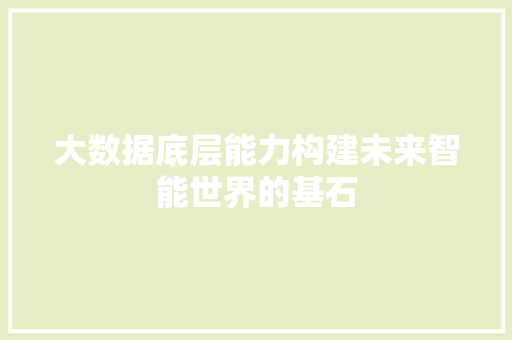 大数据底层能力构建未来智能世界的基石