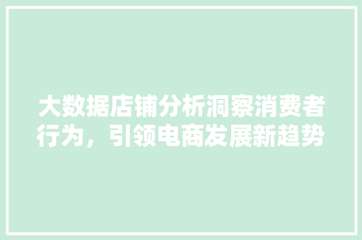 大数据店铺分析洞察消费者行为，引领电商发展新趋势  第1张