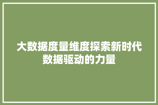 大数据度量维度探索新时代数据驱动的力量  第1张