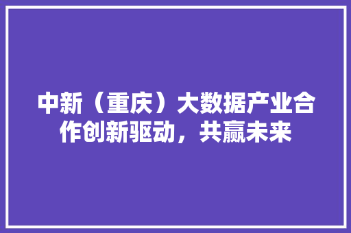 中新（重庆）大数据产业合作创新驱动，共赢未来