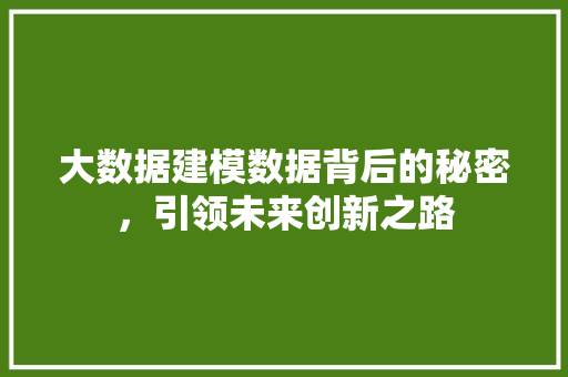 大数据建模数据背后的秘密，引领未来创新之路