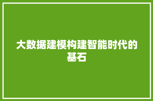 大数据建模构建智能时代的基石