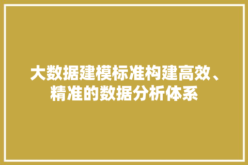 大数据建模标准构建高效、精准的数据分析体系