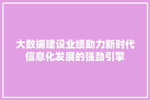 大数据建设业绩助力新时代信息化发展的强劲引擎