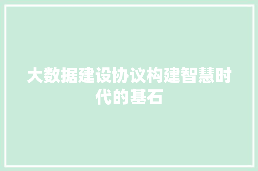 大数据建设协议构建智慧时代的基石
