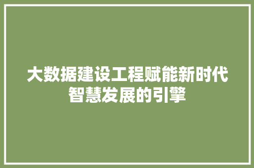 大数据建设工程赋能新时代智慧发展的引擎