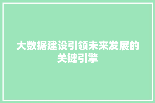 大数据建设引领未来发展的关键引擎