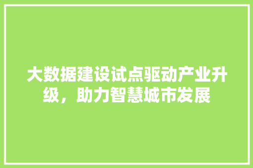 大数据建设试点驱动产业升级，助力智慧城市发展