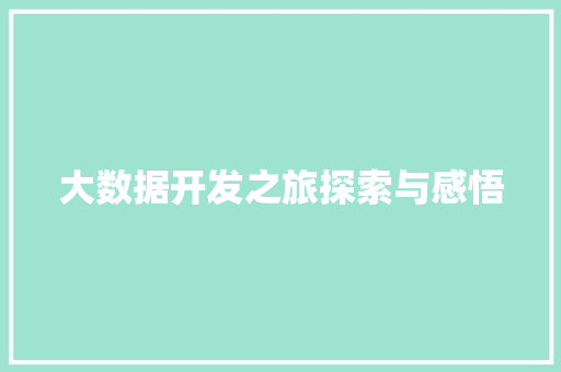 大数据开发之旅探索与感悟