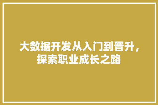 大数据开发从入门到晋升，探索职业成长之路