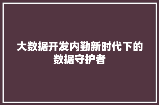 大数据开发内勤新时代下的数据守护者
