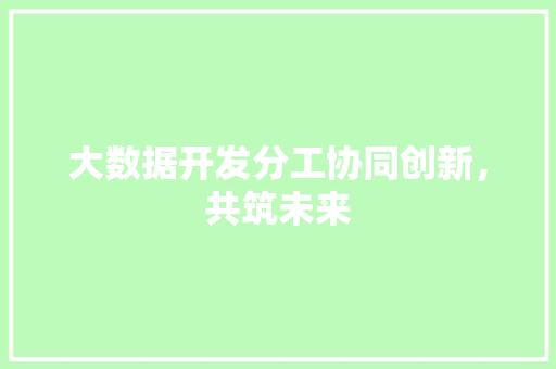 大数据开发分工协同创新，共筑未来