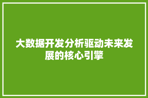 大数据开发分析驱动未来发展的核心引擎