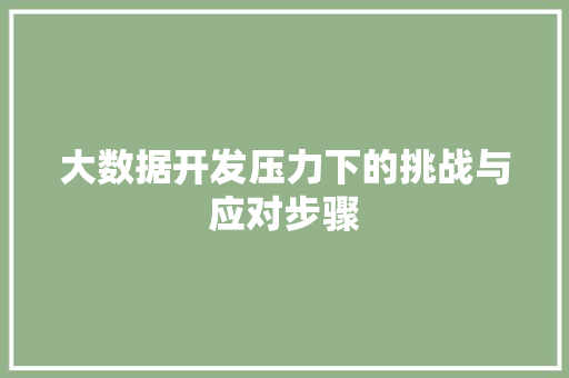 大数据开发压力下的挑战与应对步骤