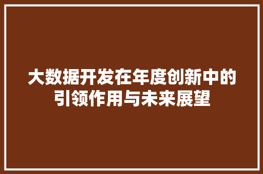 大数据开发在年度创新中的引领作用与未来展望