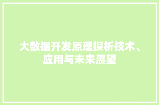 大数据开发原理探析技术、应用与未来展望